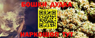 крисы Баксан